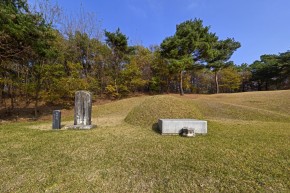 사진6